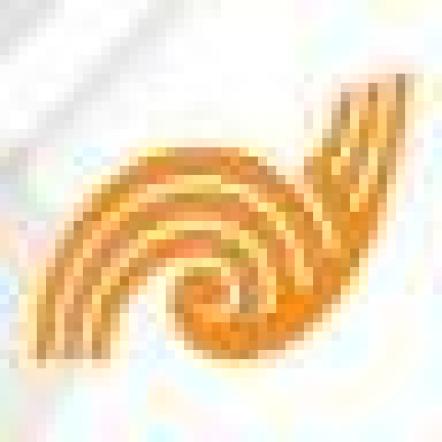 Senior Secondary Curriculum guides TKI site logo.